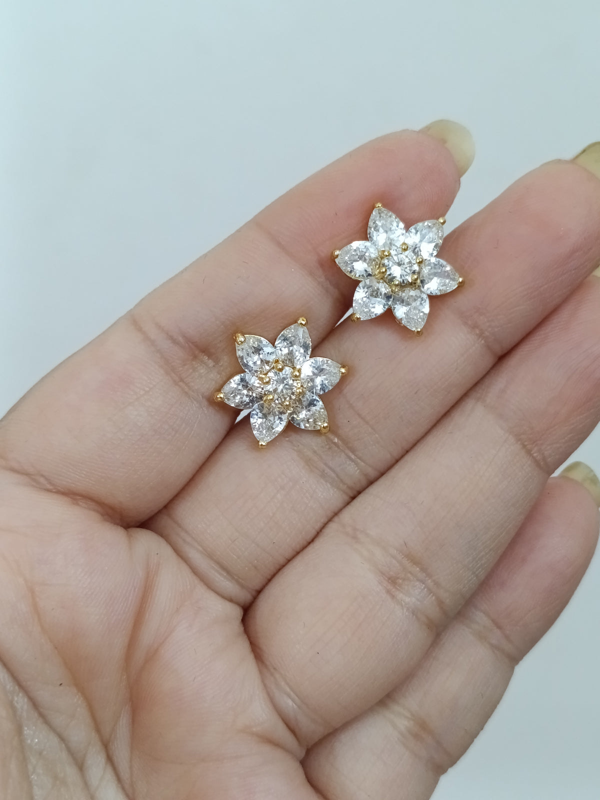 Micro Polish AD Earring V2