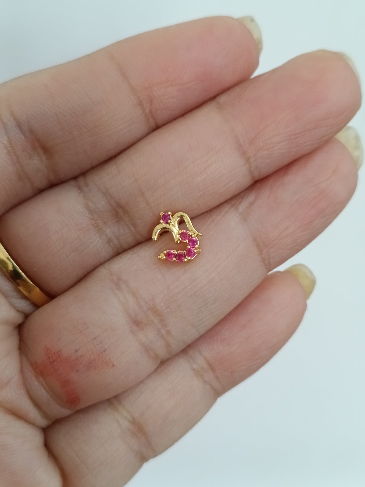 Micro Polish Om Nosepin V2