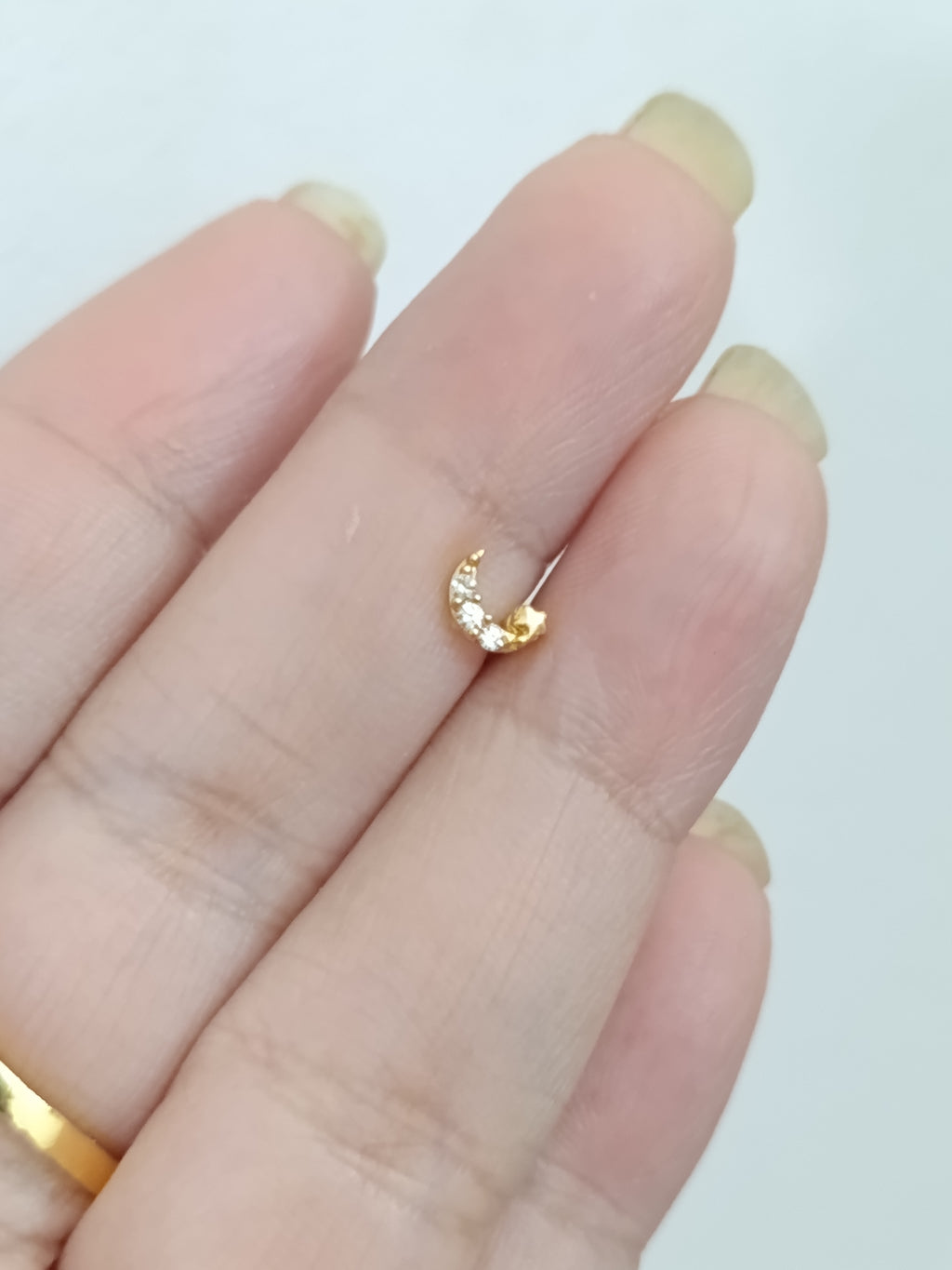 Micro Polish AD Halfmoon Nosepin