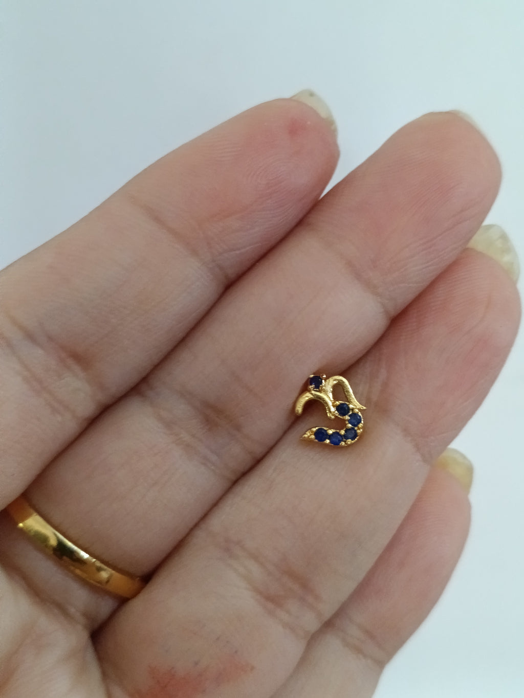 Micro Polish Om Nosepin V2