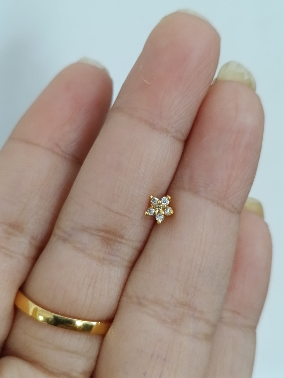 Micro Polish Nosepin V6