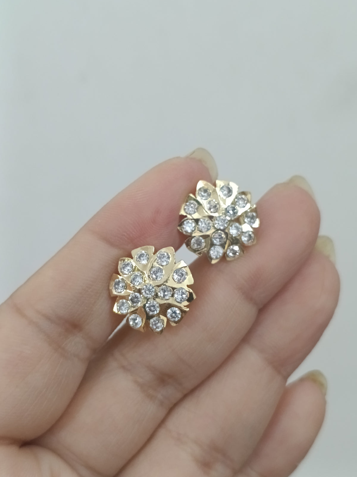 Micro Polish Impon Earring V6